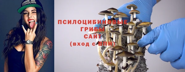 прущие крисы Михайловка